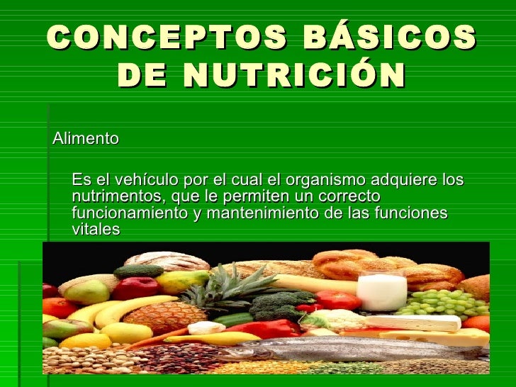 Cual Es El Concepto De Nutricion