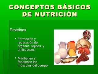 CONCEPTOS BÁSICOSCONCEPTOS BÁSICOS
DE NUTRICIÓNDE NUTRICIÓN
ProteínasProteínas
 Formación yFormación y
reparación dereparación de
órganos, tejidos yórganos, tejidos y
anticuerposanticuerpos
 Mantienen yMantienen y
fortalecen losfortalecen los
músculos del cuerpomúsculos del cuerpo
 