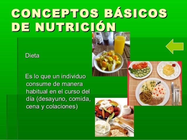 Conceptos basicos de nutricion