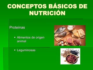 CONCEPTOS BÁSICOS DE
NUTRICIÓN
Proteínas
 Alimentos de origen
animal
 Leguminosas
 