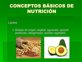 CONCEPTOS BÁSICOS DE
NUTRICIÓN
Lípidos
 Grasas de origen vegetal: aguacate, ajonjolí,
aceitunas, oleaginosas, aceites vegetales
 
