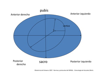 pubis
Anterior izquierdo

Anterior derecho

vertice

Posterior
derecho

sacro

Posterior izquierdo

Obstetricia de Schwarcz 2007 - Normas y protocolos del MINSA. - Ginecología de Gonzales Merlo

 