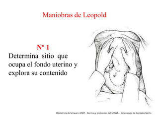 Maniobras de Leopold

Nº 1
Determina sitio que
ocupa el fondo uterino y
explora su contenido

Obstetricia de Schwarcz 2007 - Normas y protocolos del MINSA. - Ginecología de Gonzales Merlo

 