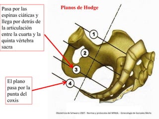 Pasa por las
espinas ciáticas y
llega por detrás de
la articulación
entre la cuarta y la
quinta vértebra
sacra

Planos de Hodge

El plano
pasa por la
punta del
coxis
Obstetricia de Schwarcz 2007 - Normas y protocolos del MINSA. - Ginecología de Gonzales Merlo

 