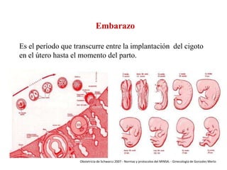 Embarazo
Es el período que transcurre entre la implantación del cigoto
en el útero hasta el momento del parto.

Obstetricia de Schwarcz 2007 - Normas y protocolos del MINSA. - Ginecología de Gonzales Merlo

 
