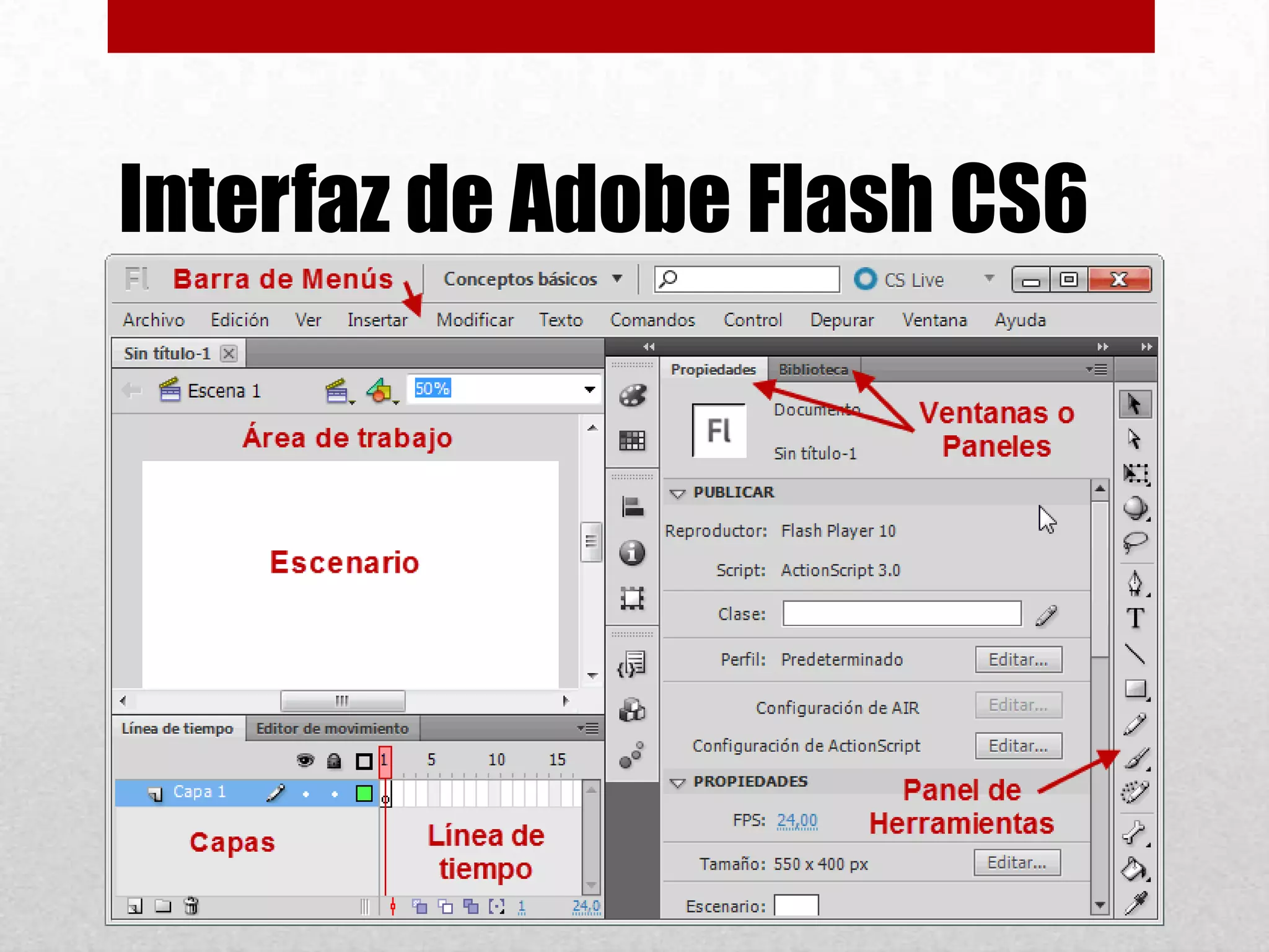Conceptos basicos en adobe flash nusero | PPTX