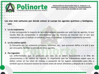 • Área Académica de Ingeniería
Las vías más comunes por donde entran al cuerpo los agentes químicos y biológicos,
son:
1. La vía respiratoria:
A ésta corresponde la mayoría de las enfermedades causadas por este tipo de agentes, lo que
resulta fácil de comprender si consideramos que los mismos se mezclan con el aire que
respiramos y que al realizar un esfuerzo, como es el trabajo, la función respiratoria aumenta.
2. La vía cutánea (piel):
Es frecuente por las sustancias irritantes, solventes, etc., que provocan daños a la piel y que
por otra parte, facilitan la entrada de otros agentes.
3. Por ingestión:
Las enfermedades que se producen por esta vía se deben básicamente a la falta de
conocimientos y de hábitos de higiene. Es importante que los trabajadores sepan que no
deben comer en los sitios de trabajo, a excepción de los lugares autorizados para ello, y
también que es necesario lavarse las manos antes de tomar alimentos y después de ir al baño.
 
