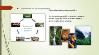  Componentes del espacio geográfico
Diversidad del espacio geográfico
En el espacio geográfico tenemos desiertos,
mares, bosques, selvas, llanuras, mesetas,
áreas rurales, áreas urbanas
 