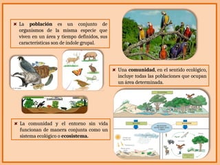 La población es un conjunto de
organismos de la misma especie que
viven en un área y tiempo definidos, sus
características son de índole grupal.
Una comunidad, en el sentido ecológico,
incluye todas las poblaciones que ocupan
un área determinada.
La comunidad y el entorno sin vida
funcionan de manera conjunta como un
sistema ecológico o ecosistema.
 