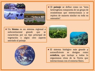 El paisaje se define como un “área
heterogénea compuesta de un grupo de
ecosistemas que interaccionan y se
repiten de manera similar en toda su
extensión”.
Un bioma es un sistema regional o
subcontinental grande que se
caracteriza por un tipo principal de
vegetación o algún otro aspecto
asociado al paisaje.
El sistema biológico más grande y
autosuficiente se designa como
ecósfera, que incluye a todos lo
organismos vivos de la Tierra que
interaccionan con el entorno físico.
 