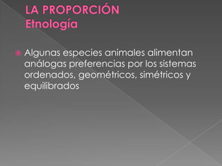  Algunas especies animales alimentan
análogas preferencias por los sistemas
ordenados, geométricos, simétricos y
equilibrados
 