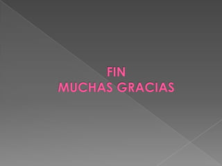 Conceptos básicos de filosofía