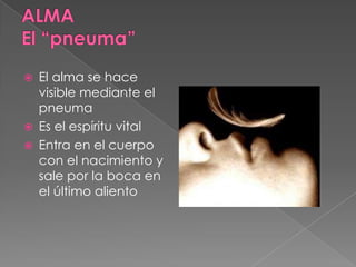  El alma se hace
visible mediante el
pneuma
 Es el espíritu vital
 Entra en el cuerpo
con el nacimiento y
sale por la boca en
el último aliento
 
