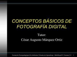 CONCEPTOS BÁSICOS DE
FOTOGRAFÍA DIGITAL
Tutor:
César Augusto Márquez Ortiz

Formación Tecnopedagógica En Ambientes Virtuales de Aprendizaje - Balckboard 9.1 Semana 2-3

1

 