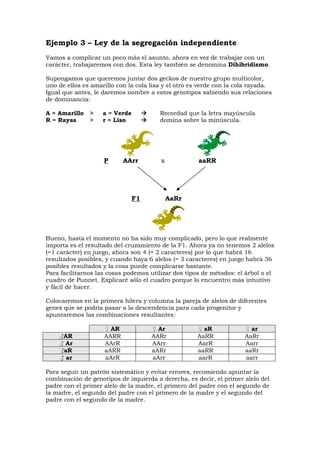 Ejemplo 3 – Ley de la segregación independiente
Vamos a complicar un poco más el asunto, ahora en vez de trabajar con un
carácter, trabajaremos con dos. Esta ley también se denomina Dihibridismo.
Supongamos que queremos juntar dos geckos de nuestro grupo multicolor,
uno de ellos es amarillo con la cola lisa y el otro es verde con la cola rayada.
Igual que antes, le daremos nombre a estos genotipos sabiendo sus relaciones
de dominancia:
A = Amarillo > a = Verde Recordad que la letra mayúscula
R = Rayas > r = Liso domina sobre la minúscula.
P AArr x aaRR
F1 AaRr
Bueno, hasta el momento no ha sido muy complicado, pero lo que realmente
importa es el resultado del cruzamiento de la F1. Ahora ya no tenemos 2 alelos
(=1 carácter) en juego, ahora son 4 (= 2 caracteres) por lo que habrá 16
resultados posibles, y cuando haya 6 alelos (= 3 caracteres) en juego habrá 36
posibles resultados y la cosa puede complicarse bastante.
Para facilitarnos las cosas podemos utilizar dos tipos de métodos: el árbol o el
cuadro de Punnet. Explicaré sólo el cuadro porque lo encuentro más intuitivo
y fácil de hacer.
Colocaremos en la primera hilera y columna la pareja de alelos de diferentes
genes que se podría pasar a la descendencia para cada progenitor y
apuntaremos las combinaciones resultantes:
♀ AR ♀ Ar ♀ aR ♀ ar
♂AR AARR AARr AaRR AaRr
♂ Ar AArR AArr AarR Aarr
♂aR aARR aARr aaRR aaRr
♂ ar aArR aArr aarR aarr
Para seguir un patrón sistemático y evitar errores, recomiendo apuntar la
combinación de genotipos de izquierda a derecha, es decir, el primer alelo del
padre con el primer alelo de la madre, el primero del padre con el segundo de
la madre, el segundo del padre con el primero de la madre y el segundo del
padre con el segundo de la madre.
 