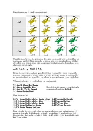 Fenotípicamente el cuadro quedaría así:
♀ AR ♀ Ar ♀ aR ♀ ar
♂AR
AARR AARr AaRR AaRr
♂ Ar
AArR AArr AarR Aarr
♂aR
aARR aARr aaRR aaRr
♂ ar
aArR aArr aarR aarr
Cuando importa poco los genes que lleven se suele omitir el recesivo si hay un
dominante que lo inhiba, para ello se coloca una raya simulando que ahí hay
otro alelo pero nos da igual cuál sea porque fenotípicamente el resultado será
el mismo, por ejemplo:
AaRr A_R_ , AARR A_R_
Estas dos escrituras indican que el individuo es amarillo y tiene rayas, sólo
que, por ejemplo, en el primer caso, el primer genotipo nos da la información
de que además de ser amarillo y rayado es heterocigoto para verde y cola lisa.
Volviendo al cruce, el resultado de ese cuadro será:
9/16 A_R_ (Amarillo, Rayas)
3/16 A_rr (Amarillo, Liso) En este tipo de cruces es muy típica la
3/16 aa_R_ (Verde, Rayas) proporción fenotípica 9:3:3:1.
1/16 aarr (Verde, Liso)
Otra forma sería:
25 % Amarillo Rayado het Verde y Liso 6.25% Amarillo Rayado
12.5 % Amarillo Rayado het Liso 6.25% Amarillo Liso
12.5 % Amarillo Rayado het Verde 6.25% Verde Liso
12.5% Amarillo Liso het Verde 6.25% Verde Rayado
12.5% Verde Rayado het Liso
Para calcular los porcentajes hay que contar el número de individuos con el
genotipo deseado, dividirlo entre el total y multiplicar el resultado por 100.
Ejemplo: hay 4 ejemplares AaRr 4/16 = 0.25 x 100 = 25% Amarillo Rayado
het Verde y Liso.
 