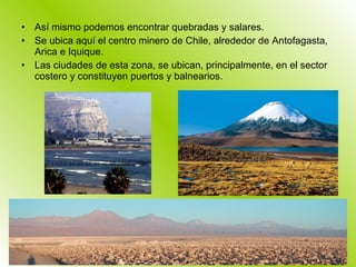 Así mismo podemos encontrar quebradas y salares. Se ubica aquí el centro minero de Chile, alrededor de Antofagasta, Arica e Iquique. Las ciudades de esta zona, se ubican, principalmente, en el sector costero y constituyen puertos y balnearios. 
