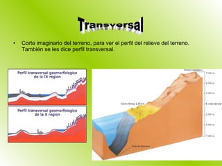 Corte imaginario del terreno, para ver el perfil del relieve del terreno. También se les dice perfil transversal. Transversal 