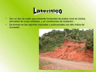 Son un tipo de suelo que presenta horizontes de suelos ricos en óxidos, derivados de rocas oxidadas, y en condiciones de oxidación. Se forman en las regiones tropicales y subtropicales con alto índice de humedad. Laterítico 