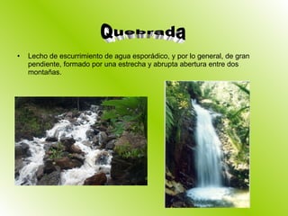 Lecho de escurrimiento de agua esporádico, y por lo general, de gran pendiente, formado por una estrecha y abrupta abertura entre dos montañas. Quebrada 