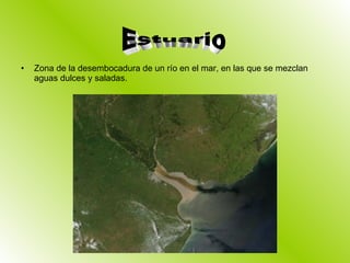 Zona de la desembocadura de un río en el mar, en las que se mezclan aguas dulces y saladas. Estuario 
