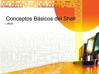 Conceptos Básicos del Shell
LINUX
 