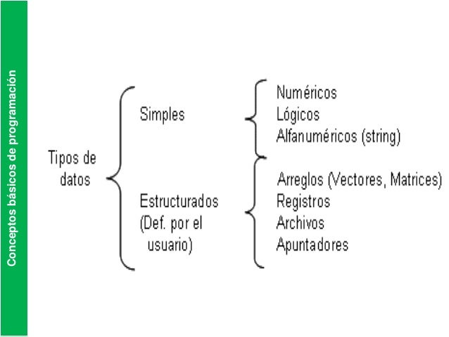 Conceptos básicos de programación