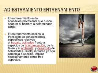 ADIESTRAMIENTO-ENTRENAMIENTO
El entrenamiento es la
educación profesional que busca
adaptar al hombre a determinado
cargo.
El entrenamiento implica la
transición de conocimientos
específicos relativos
al trabajo, actitudes frente a
aspectos de la organización, de la
tarea y el ambiente, y desarrollo de
habilidades. Cualquier tarea ya sea
compleja o sencilla, implica
necesariamente estos tres
aspectos.