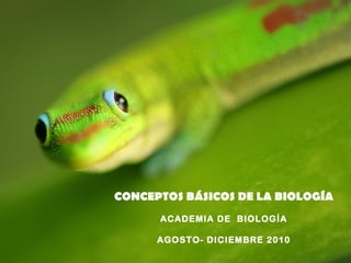 CONCEPTOS BÁSICOS DE LA BIOLOGÍA 
ACADEMIA DE BIOLOGÍA 
AGOSTO- DICIEMBRE 2010 
 