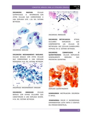 CONCEPTOS BÁSICOS PARA LA CITOLOGÍA CERVICAL
Julio de
2009
13
DISCARIOSIS MADURA CELULAS
SUPERFICIALES O INTERMEDIAS CON
ATIPIA CELULAR QUE CORRESPONDE A
UNA DISPLASIA LEVE. L-SIL DEL SISTEMA
BETHESDA.
DISCARIOSIS MADURA
DISCARIOSIS MEDIANAMENTE MADURAS.
CELULAS BASALES CON ATIPIA CELULAR
QUE CORRESPONDE A UNA DISPLASIA
MODERADA. H-SIL DEL SISTEMA BETHESDA.
DISCARIOSIS MEDIANAMENTE MADURA
DISCARIOSIS INMADURA CELULAS
BASALES CON ATIPIAS CELULARES QUE
CARACTERIZAN A UNA DISPLASIA SEVERA.
H-SIL DEL SISTEMA BETHESDA.
DISCARIOSIS INMADURA
DISCARIOSIS METAPLASICAS ATIPIAS
CELULARES DISPLASICAS QUE
COMPROMETEN LAS CELULAS DE
METAPLASIA. AGC (CELULAS GLANDULARES
ATIPICAS) EN EL SISTEMA BETHESDA.
DISCARIOSIS CORNIFICADAS O
QUERATINIZADAS CELULAS DISPLASICAS
GENERALMENTE MADURAS QUE
PRESENTAN QUERATINA.
DISPLASIA QUERATINIZANTE
DISMENORREA MESTRUACION DOLOROSA
O DIFICIL.
DISMENORREA DOLOR O INCOMODIDAD
EXPERIMENTADA JUSTO ANTES O DESPUÉS
DEL PERIODO MENSTRUAL.
 