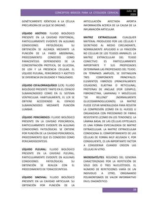 CONCEPTOS BÁSICOS PARA LA CITOLOGÍA CERVICAL
Julio de
2009
38
GENÉTICAMENTE IDÉNTICAS A LA CÉLULA
PRECURSORA DE LA QUE SE ORIGINÓ.
LÍQUIDO ASCÍTICO: FLUIDO BIOLÓGICO
PRESENTE EN LA CAVIDAD PERITONEAL,
PARTICULARMENTE EVIDENTE EN ALGUNAS
CONDICIONES PATOLÓGICAS. SU
OBTENCIÓN SE ALCANZA MEDIANTE LA
PUNCIÓN DE LA PARED ABDOMINAL,
PROCEDIMIENTO CONOCIDO COMO
PARACENTESIS. DEPENDIENDO DE LA
CONCENTRACIÓN PROTEICA, DE GLUCOSA,
DE LDH Y LA PRESENCIA CELULAR, EL
LÍQUIDO PLEURAL, PERICÁRDICO Y ASCÍTICO
SE DIFERENCIA EN EXUDADO Y TRASUDADO.
LÍQUIDO CEFALORRAQUÍDEO (LCR): FLUIDO
BIOLÓGICO PRESENTE TANTO EN EL ESPACIO
SUBARACNOIDEO COMO EN EL SISTEMA
VENTRICULAR. HABITUALMENTE, EL LCR SE
OBTIENE ACCEDIENDO AL ESPACIO
SUBARACNOIDEO MEDIANTE PUNCIÓN
LUMBAR.
LÍQUIDO PERICÁRDICO: FLUIDO BIOLÓGICO
PRESENTE EN LA CAVIDAD PERICÁRDICA,
PARTICULARMENTE EVIDENTE EN ALGUNAS
CONDICIONES PATOLÓGICAS. SE OBTIENE
POR PUNCIÓN DE LA CAVIDAD PERICÁRDICA,
PROCEDIMIENTO QUE ES CONOCIDO COMO
PERICARDIOCENTESIS.
LÍQUIDO PLEURAL: FLUIDO BIOLÓGICO
PRESENTE EN LA CAVIDAD PLEURAL,
PARTICULARMENTE EVIDENTE EN ALGUNAS
CONDICIONES PATOLÓGICAS. SU
OBTENCIÓN SE REALIZA CON EL
PROCEDIMIENTO DE TORACOCENTESIS.
LÍQUIDO SINOVIAL: FLUIDO BIOLÓGICO
PRESENTE EN LA CAVIDAD ARTICULAR. SU
OBTENCIÓN POR PUNCIÓN DE LA
ARTICULACIÓN AFECTADA APORTA
INFORMACIÓN ACERCA DE LA CAUSA DE LA
INFLAMACIÓN ARTICULAR.
MATRIZ EXTRACELULAR: CUALQUIER
MATERIAL PRODUCIDO POR LAS CÉLULAS Y
SECRETADO AL MEDIO CIRCUNDANTE,
NORMALMENTE APLICADO A LA FRACCIÓN
NO CELULAR DE LOS TEJIDOS ANIMALES. LA
MATRIZ EXTRACELULAR DEL TEJIDO
CONECTIVO ES PARTICULARMENTE
IMPORTANTE Y SUS PROPIEDADES
DETERMINAN LAS PROPIEDADES DEL TEJIDO.
EN TÉRMINOS AMPLIOS, SE DISTINGUEN
TRES COMPONENTE PRINCIPALES:
ELEMENTOS FIBROSOS (PRINCIPALMENTE
COLÁGENO, ELASTINA O RETICULINA),
PROTEÍNAS DE ANCLAJE (POR EJEMPLO,
FIBRONECTINA, LAMININA) Y MOLÉCULAS
“DE RELLENO” (NORMALMENTE
GLUCOSAMINOGLUCANOS). LA MATRIZ
PUEDE ESTAR MINERALIZADA PARA RESISTIR
LA COMPRESIÓN (COMO EN EL HUESO) U
ORGANIZADA CON PREDOMINIO DE FIBRAS
RESISTENTES (COMO EN LOS TENDONES). LA
LÁMINA BASAL DE LAS CÉLULAS EPITELIALES
ES UNA FORMA ESPECIALIZADA DE MATRIZ
EXTRACELULAR. LA MATRIZ EXTRACELULAR
CONDICIONA EL COMPORTAMIENTO DE LAS
CÉLULAS DE FORMA MUY ACUSADA Y, POR
CONSIGUIENTE, ES UN IMPORTANTE FACTOR
A CONSIDERAR CUANDO CRECEN LAS
CÉLULAS IN VITRO.
MICROSATÉLITES: REGIONES DEL GENOMA
CARACTERIZADAS POR LA REPETICIÓN DE
SÓLO DOS O TRES NUCLEÓTIDOS. EL
NÚMERO DE REPETICIONES VARÍA DE UN
INDIVIDUO A OTRO, ORIGINANDO
POLIMORFISMOS DE VALOR INFORMATIVO
EN EL DIAGNÓSTICO.
 