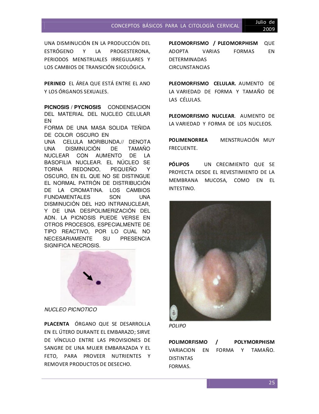 Conceptos básicos para la citología cervical Conceptos básicos para la citología cervical