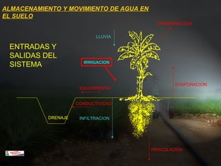 ESCORRENTIA
INFILTRACION
EVAPORACION
TRANSPIRACION
LLUVIA
DRENAJE
CONDUCTIVIDAD
PERCOLACION
IRRIGACION
ENTRADAS Y
SALIDAS DEL
SISTEMA
ALMACENAMIENTO Y MOVIMIENTO DE AGUA EN
EL SUELO
 