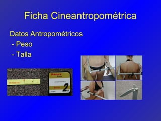 Ficha Cineantropométrica
Datos Antropométricos
- Peso
- Talla
 