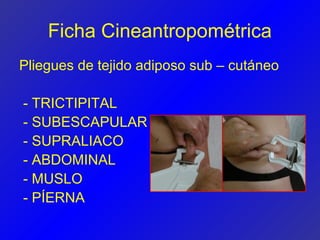 Ficha Cineantropométrica
Pliegues de tejido adiposo sub – cutáneo

- TRICTIPITAL
- SUBESCAPULAR
- SUPRALIACO
- ABDOMINAL
- MUSLO
- PÍERNA
 