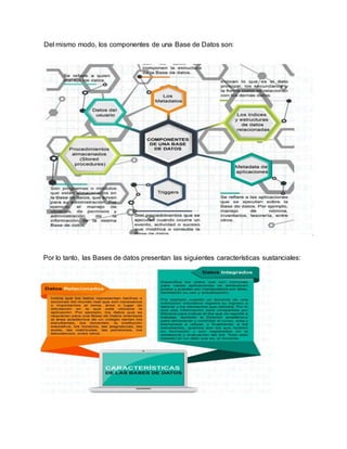 Del mismo modo, los componentes de una Base de Datos son:
Por lo tanto, las Bases de datos presentan las siguientes características sustanciales:
 