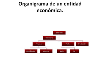 Organigrama de un entidad
económica.
 