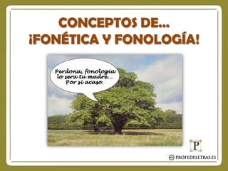 CONCEPTOS DE…
¡FONÉTICA Y FONOLOGÍA!

 