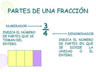 PARTES DE UNA FRACCIÓN


                   ¾
 NUMERADOR
INDICA EL NÚMERO           DENOMINADOR
DE PARTES QUE SE
TOMAN DEL              INDICA EL NÚMERO
ENTERO.                DE PARTES EN QUE
                       SE   DIVIDE   LA
                       UNIDAD    O   EL
                       ENTERO.
 