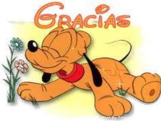 Conceptos de internet