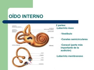 Conceptos del sonido