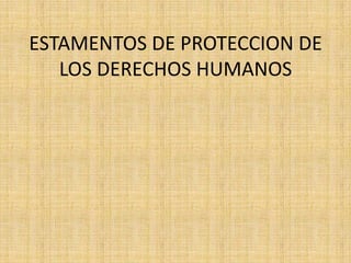 ESTAMENTOS DE PROTECCION DE
   LOS DERECHOS HUMANOS
 