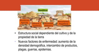 • Estructura social dependiente del cultivo y de la
propiedad de la tierra
• Nuevos factores de enfermedad: aumento de la
densidad demográfica, intercambio de productos,
plagas, guerras, epidemias.
 