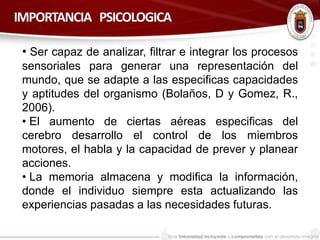 IMPORTANCIA PSICOLOGICA 
• Ser capaz de analizar, filtrar e integrar los procesos 
sensoriales para generar una representación del 
mundo, que se adapte a las especificas capacidades 
y aptitudes del organismo (Bolaños, D y Gomez, R., 
2006). 
• El aumento de ciertas aéreas especificas del 
cerebro desarrollo el control de los miembros 
motores, el habla y la capacidad de prever y planear 
acciones. 
• La memoria almacena y modifica la información, 
donde el individuo siempre esta actualizando las 
experiencias pasadas a las necesidades futuras. 
 