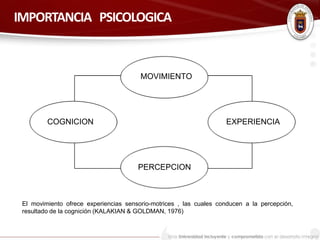 IMPORTANCIA PSICOLOGICA 
MOVIMIENTO 
EXPERIENCIA 
PERCEPCION 
COGNICION 
El movimiento ofrece experiencias sensorio-motrices , las cuales conducen a la percepción, 
resultado de la cognición (KALAKIAN & GOLDMAN, 1976) 
 