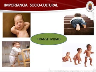 IMPORTANCIA SOCIO-CULTURAL 
TRANSITIVIDAD 
 
