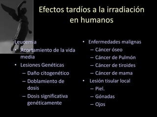 Efectos tardíos a la irradiación
en humanos
Leucemia
• Acortamiento de la vida
media
• Lesiones Genéticas
– Daño citogenético
– Doblamiento de
dosis
– Dosis significativa
genéticamente
• Enfermedades malignas
– Cáncer óseo
– Cáncer de Pulmón
– Cáncer de tiroides
– Cáncer de mama
• Lesión tisular local
– Piel.
– Gónadas
– Ojos
 