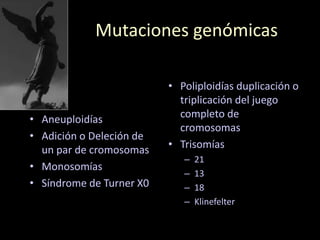 Mutaciones genómicas
• Aneuploidías
• Adición o Deleción de
un par de cromosomas
• Monosomías
• Síndrome de Turner X0
• Poliploidías duplicación o
triplicación del juego
completo de
cromosomas
• Trisomías
– 21
– 13
– 18
– Klinefelter
 