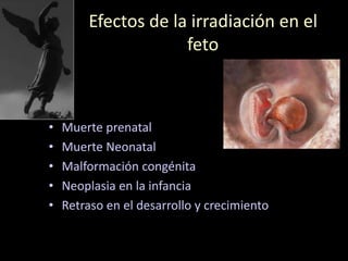 Efectos de la irradiación en el
feto
• Muerte prenatal
• Muerte Neonatal
• Malformación congénita
• Neoplasia en la infancia
• Retraso en el desarrollo y crecimiento
 