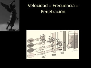 Velocidad = Frecuencia =
Penetración
 